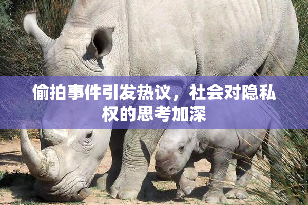 偷拍事件引发热议，社会对隐私权的思考加深