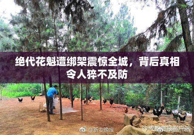 绝代花魁遭绑架震惊全城，背后真相令人猝不及防