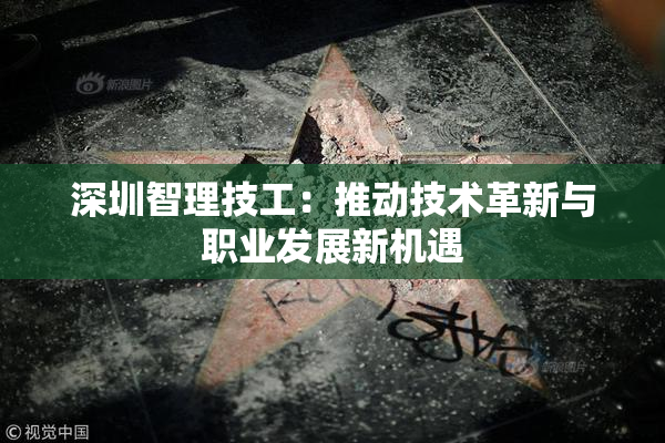 深圳智理技工：推动技术革新与职业发展新机遇