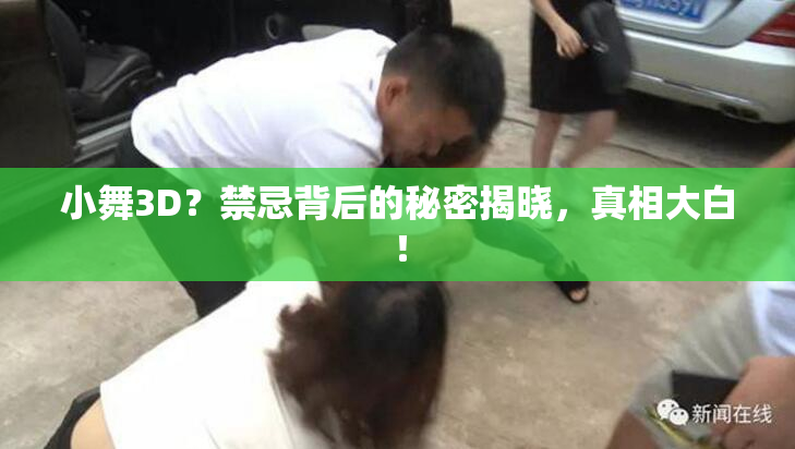 小舞3D？禁忌背后的秘密揭晓，真相大白！