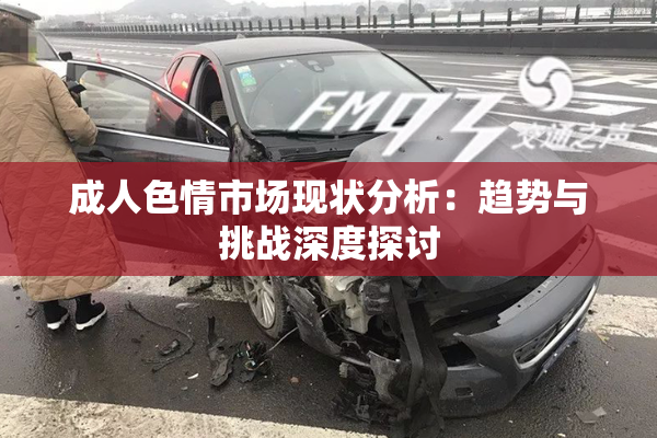 成人色情市场现状分析：趋势与挑战深度探讨
