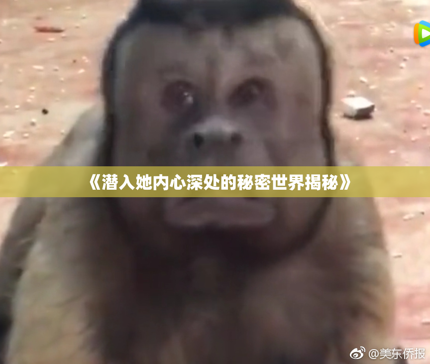 《潜入她内心深处的秘密世界揭秘》