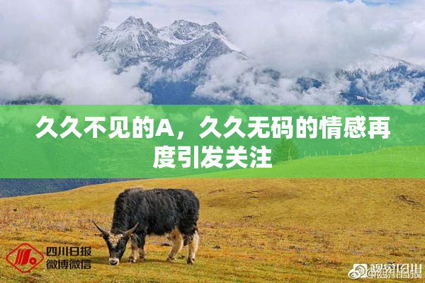 久久不见的A，久久无码的情感再度引发关注