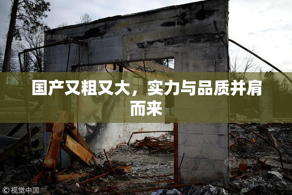国产又粗又大，实力与品质并肩而来