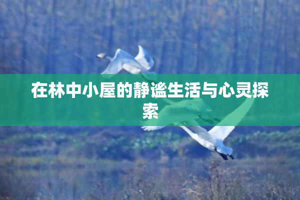 在林中小屋的静谧生活与心灵探索