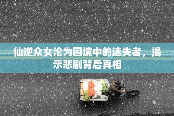 仙逆众女沦为困境中的迷失者，揭示悲剧背后真相