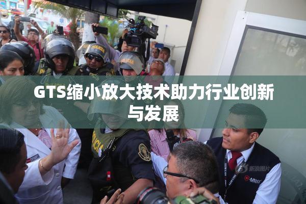 GTS缩小放大技术助力行业创新与发展