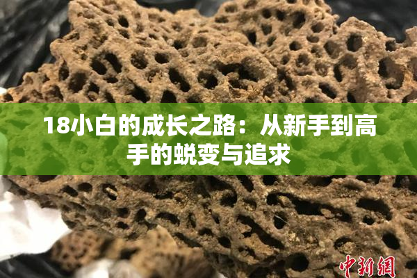 18小白的成长之路：从新手到高手的蜕变与追求