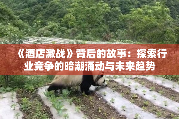 《酒店激战》背后的故事：探索行业竞争的暗潮涌动与未来趋势