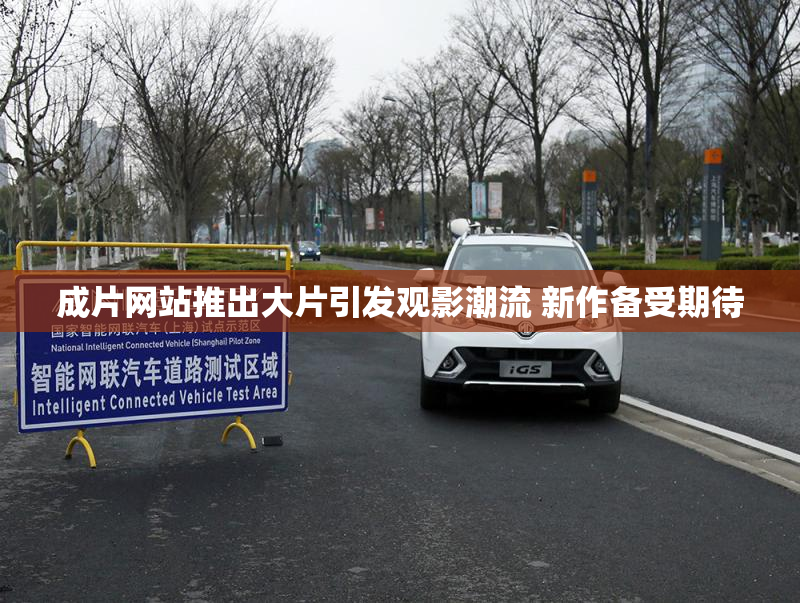 成片网站推出大片引发观影潮流 新作备受期待