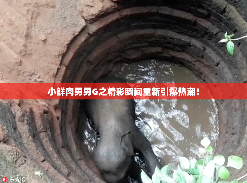 小鲜肉男男G之精彩瞬间重新引爆热潮！