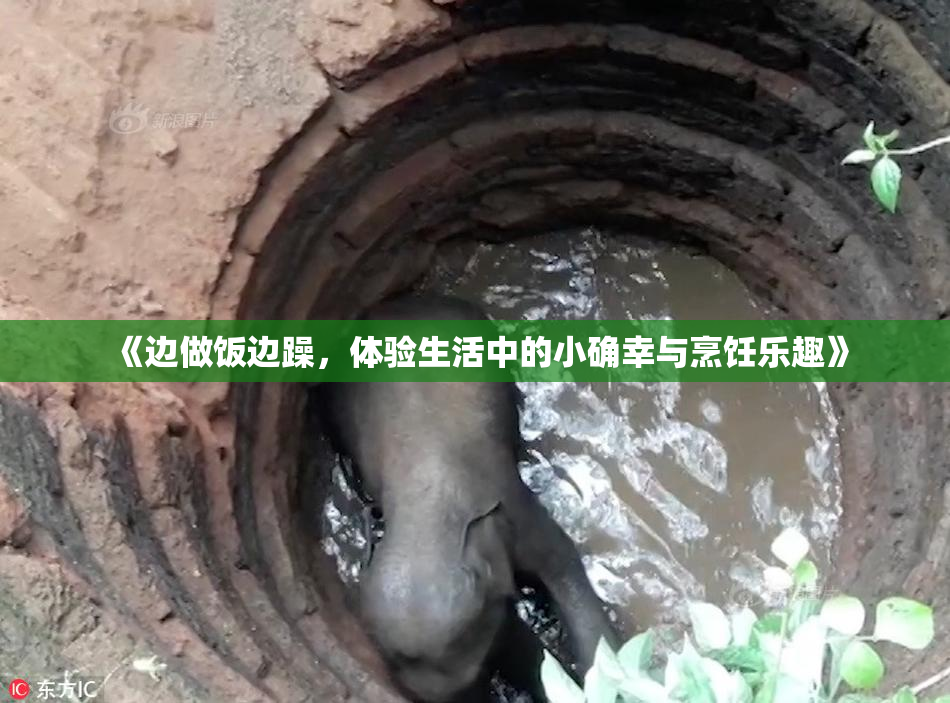 《边做饭边躁，体验生活中的小确幸与烹饪乐趣》