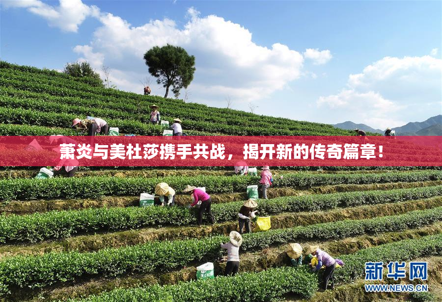 萧炎与美杜莎携手共战，揭开新的传奇篇章！