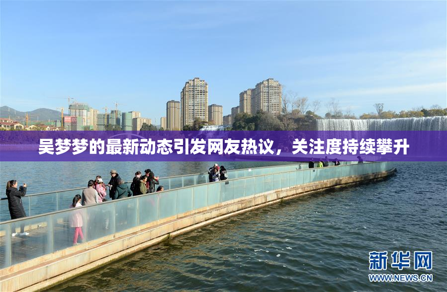 吴梦梦的最新动态引发网友热议，关注度持续攀升