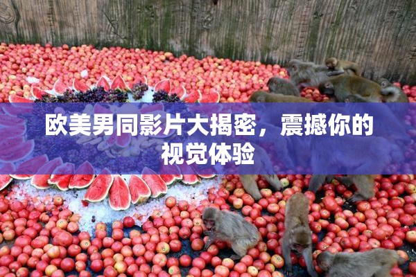 欧美男同影片大揭密，震撼你的视觉体验