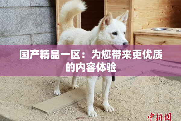 国产精品一区：为您带来更优质的内容体验
