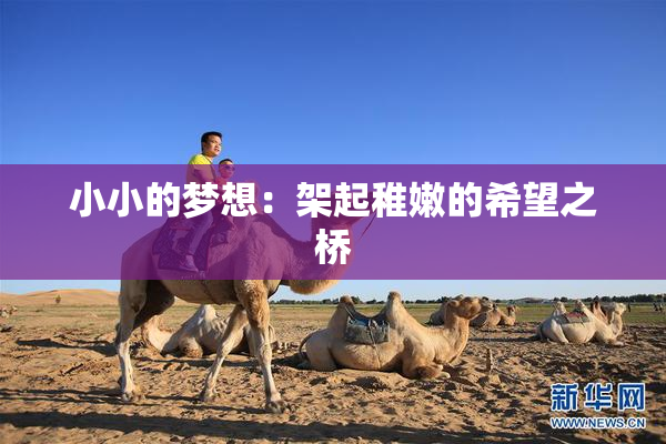 小小的梦想：架起稚嫩的希望之桥