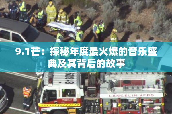 9.1芒：探秘年度最火爆的音乐盛典及其背后的故事