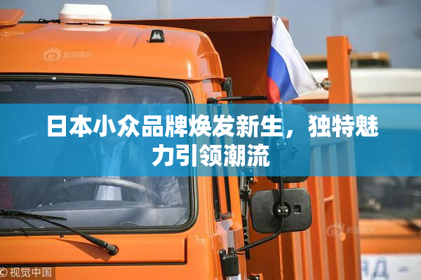 日本小众品牌焕发新生，独特魅力引领潮流