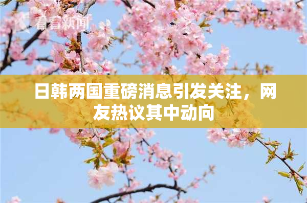 日韩两国重磅消息引发关注，网友热议其中动向