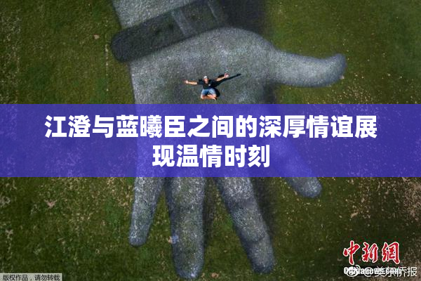 江澄与蓝曦臣之间的深厚情谊展现温情时刻