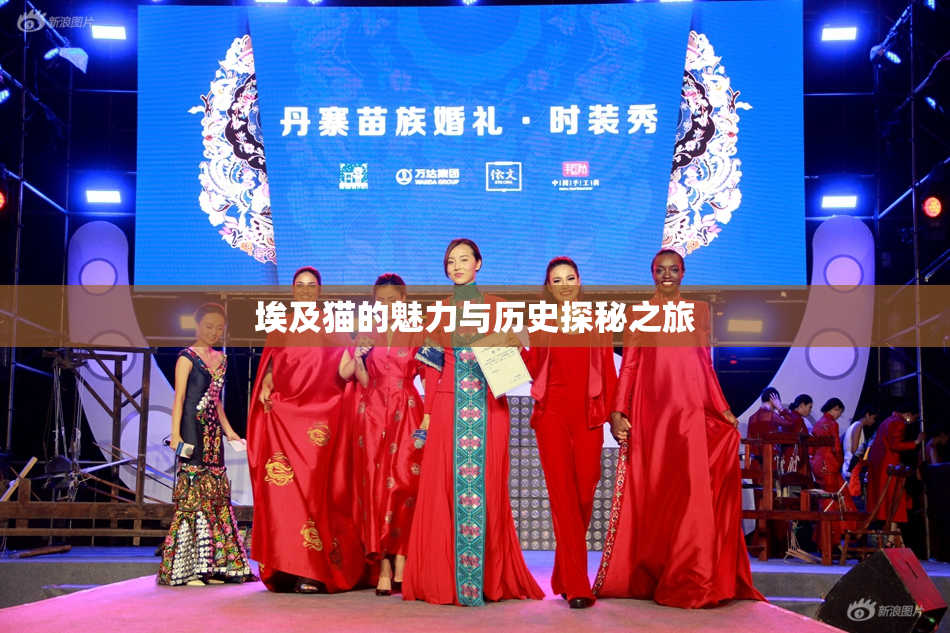埃及猫的魅力与历史探秘之旅