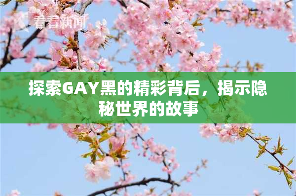 探索GAY黑的精彩背后，揭示隐秘世界的故事