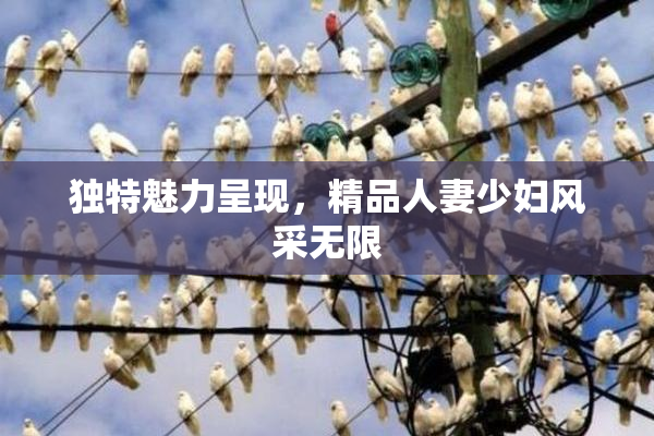 独特魅力呈现，精品人妻少妇风采无限