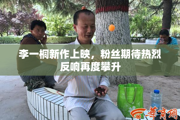 李一桐新作上映，粉丝期待热烈反响再度攀升