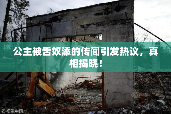公主被舌奴添的传闻引发热议，真相揭晓！
