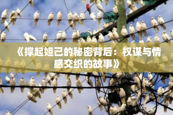 《撑起妲己的秘密背后：权谋与情感交织的故事》