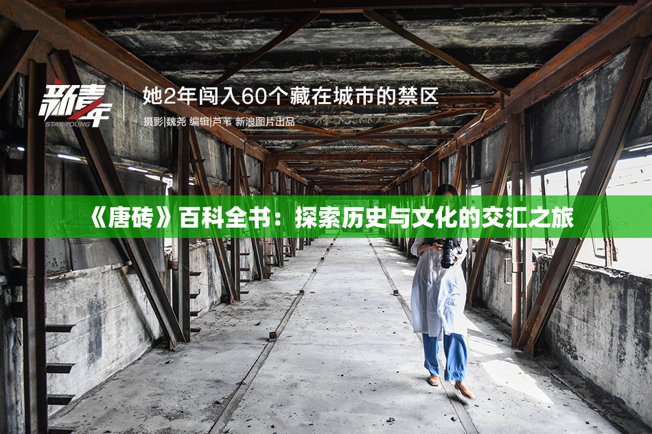 《唐砖》百科全书：探索历史与文化的交汇之旅