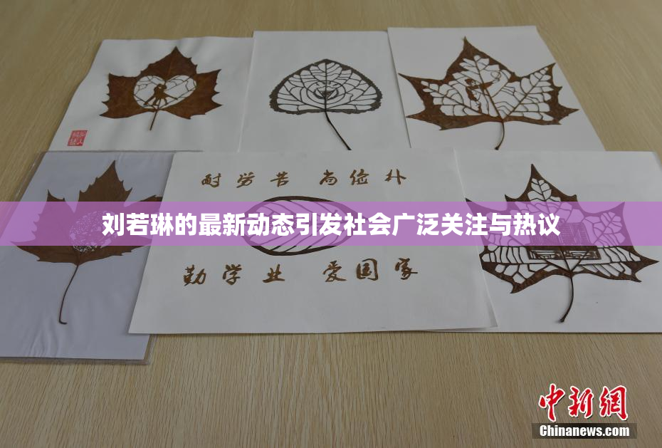 刘若琳的最新动态引发社会广泛关注与热议