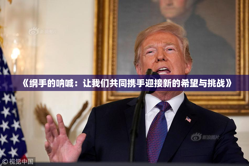 《纲手的呐喊：让我们共同携手迎接新的希望与挑战》