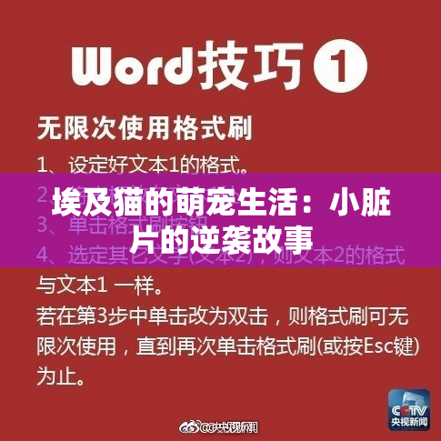 埃及猫的萌宠生活：小脏片的逆袭故事
