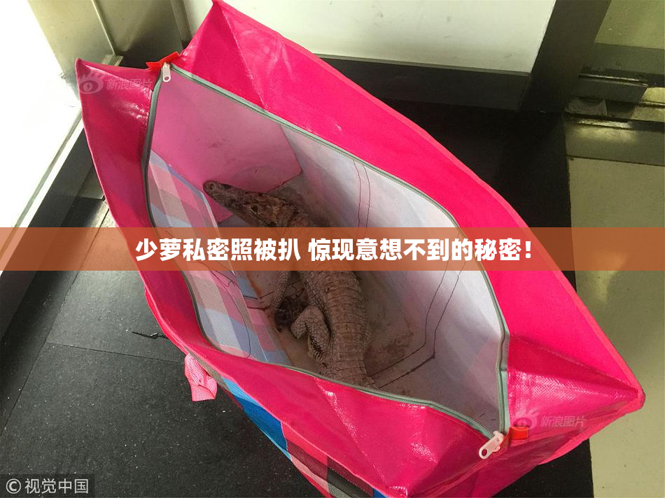 少萝私密照被扒 惊现意想不到的秘密！