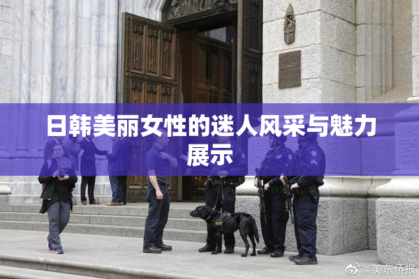 日韩美丽女性的迷人风采与魅力展示
