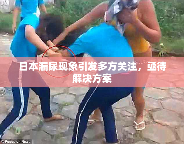 日本漏尿现象引发多方关注，亟待解决方案