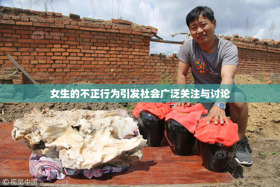 女生的不正行为引发社会广泛关注与讨论