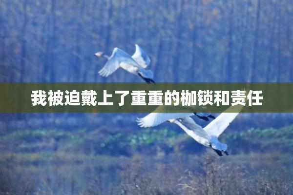 我被迫戴上了重重的枷锁和责任