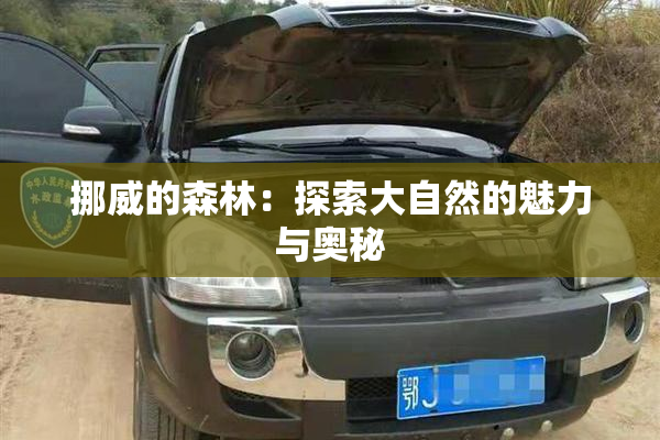 挪威的森林：探索大自然的魅力与奥秘