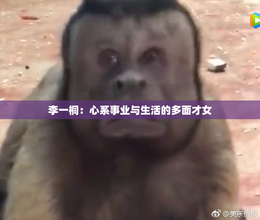 李一桐：心系事业与生活的多面才女