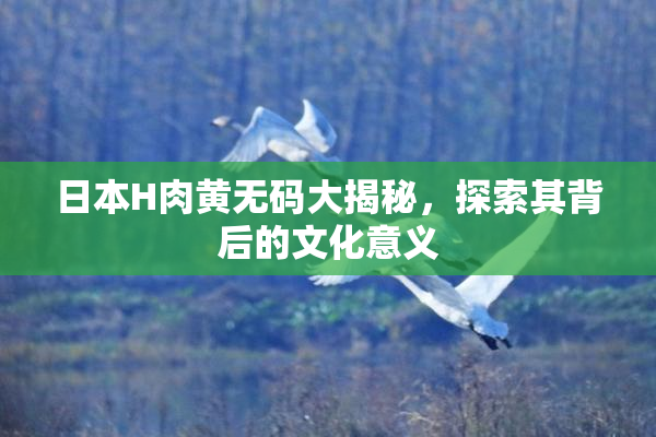 日本H肉黄无码大揭秘，探索其背后的文化意义