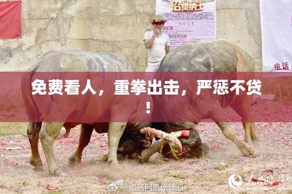 免费看人，重拳出击，严惩不贷！