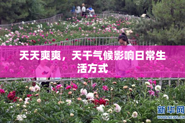 天天爽爽，天干气候影响日常生活方式