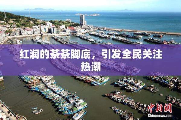 红润的茶茶脚底，引发全民关注热潮