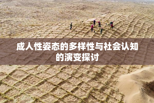 成人性姿态的多样性与社会认知的演变探讨
