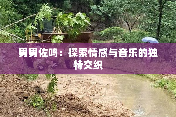 男男佐鸣：探索情感与音乐的独特交织