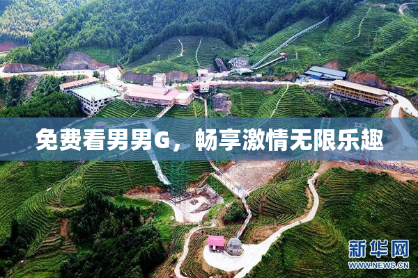 免费看男男G，畅享激情无限乐趣