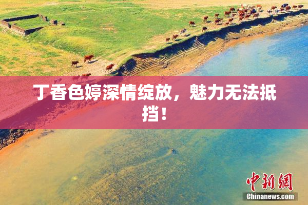 丁香色婷深情绽放，魅力无法抵挡！